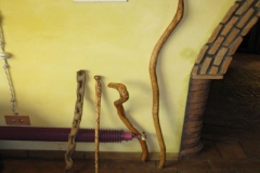 Immagine_6