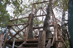 dic-2011-ix
