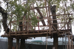 dic-2011-vi