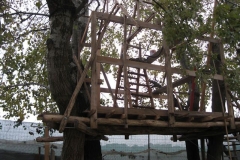dic-2011-vii