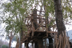dic-2011-viii