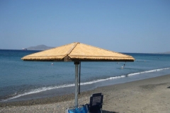 Immagine_5