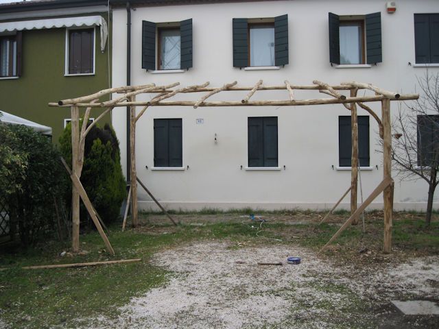 frulli-foto-346
