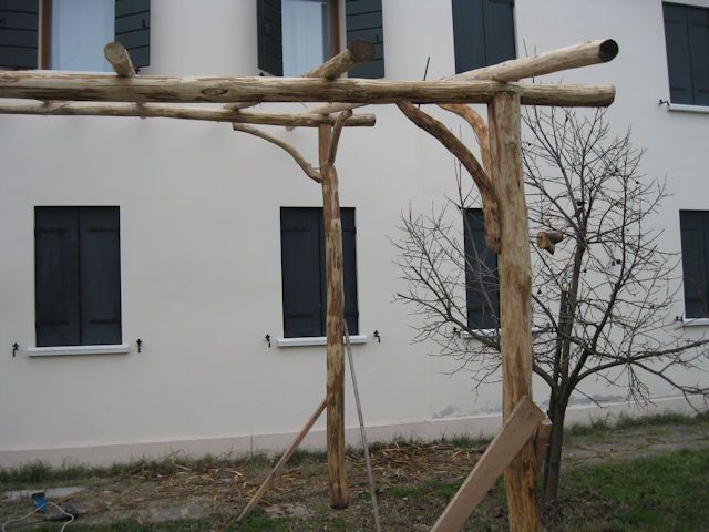 frulli-foto-348