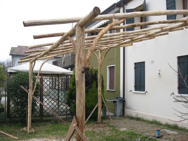 frulli-foto-349