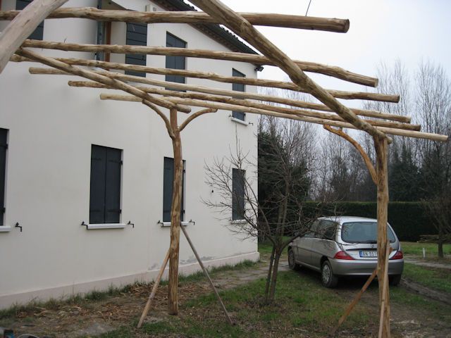 frulli-foto-352