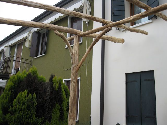 frulli-foto-356