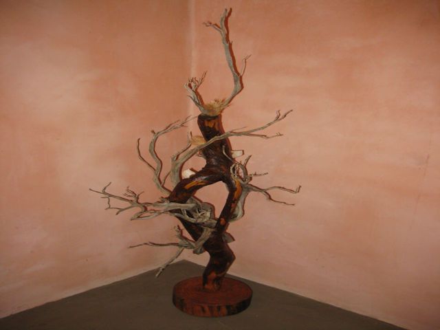 immagine-005_0
