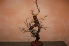 immagine-004