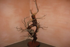 immagine-005_0