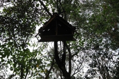immagine-006