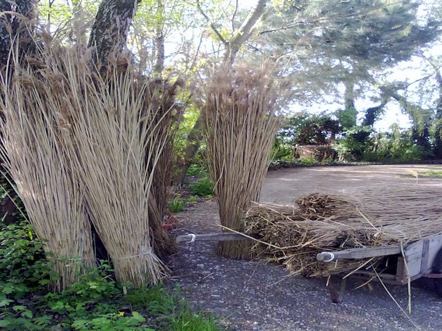 08042011174