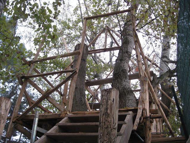 dic-2011-ix