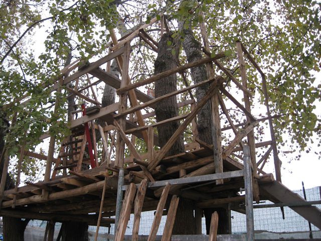dic-2011-v