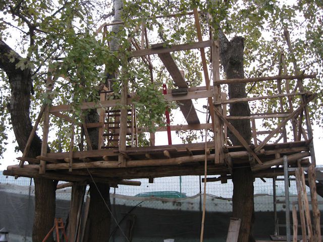 dic-2011-vi
