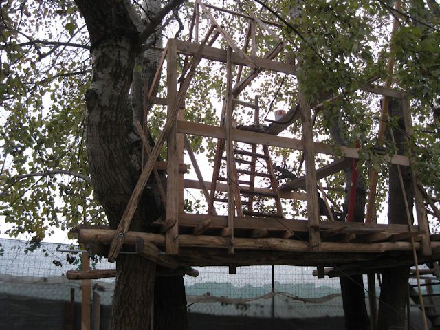 dic-2011-vii