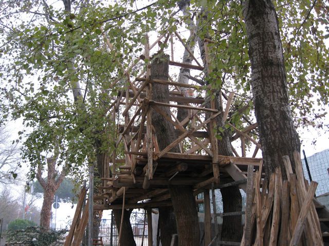 dic-2011-viii
