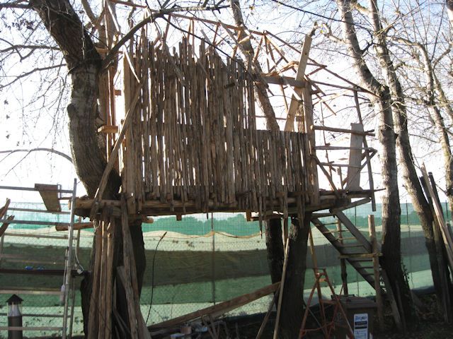 dic-2011-xii