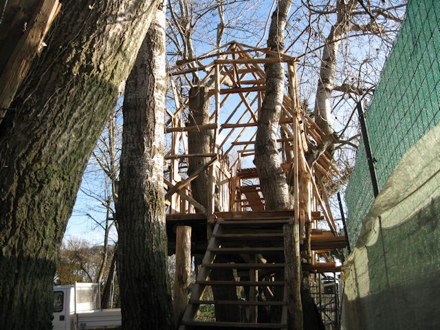 dic-2011-xiii