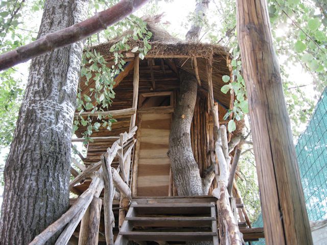 img_0762