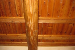 immagine-002_0