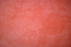 Immagine_8
